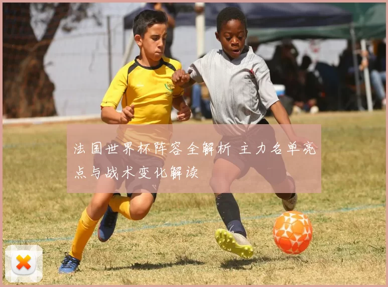 法国世界杯阵容全解析 主力名单亮点与战术变化解读