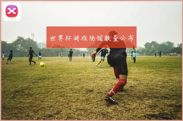 世界杯游戏场馆数量公布
